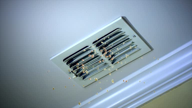 Best HVAC Duct Inspection Services  in Santa Rita Ranch, TX