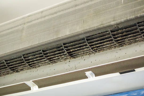 Best Air Duct Cleaning Company Near Me  in Santa Rita Ranch, TX